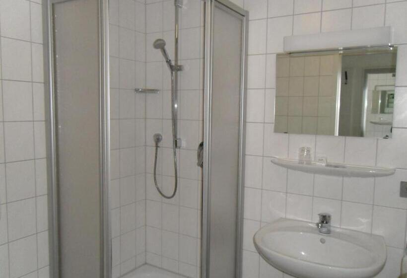 חדר סטנדרט, Gasthof Traube