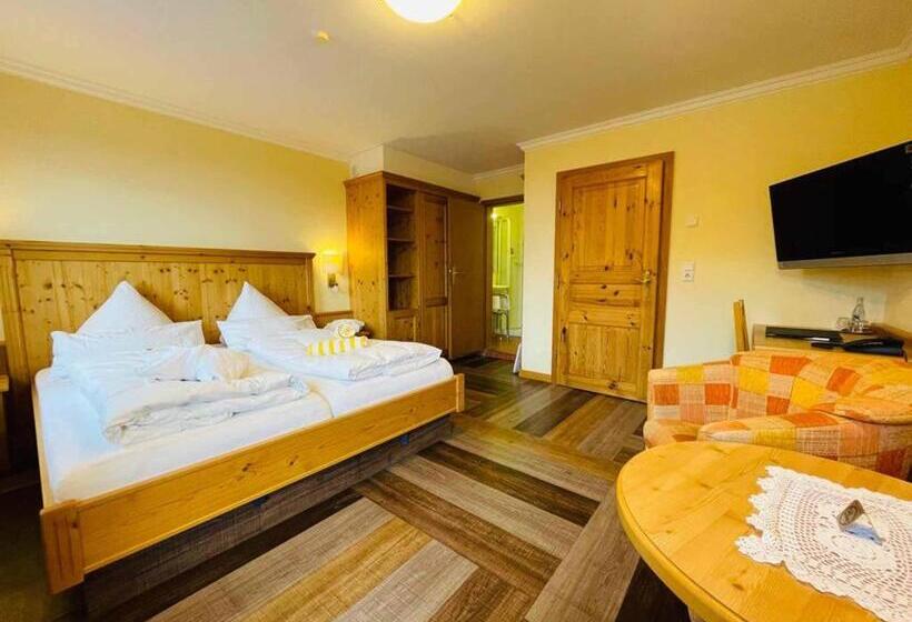 Номер Стандарт, Panoramahotel Grobauer
