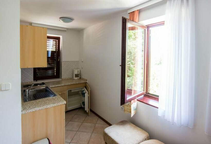 آپارتمان 1 خوابه, Apartments And Rooms Degra