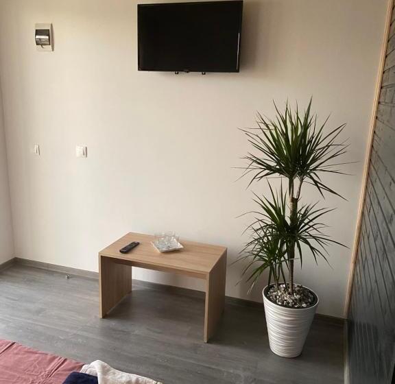 آپارتمان 1 خوابه با چشم‌انداز باغ, Casa David