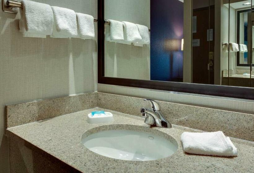 Номер Deluxe Кровать Кинг, Drury Inn & Suites Hayti Caruthersville