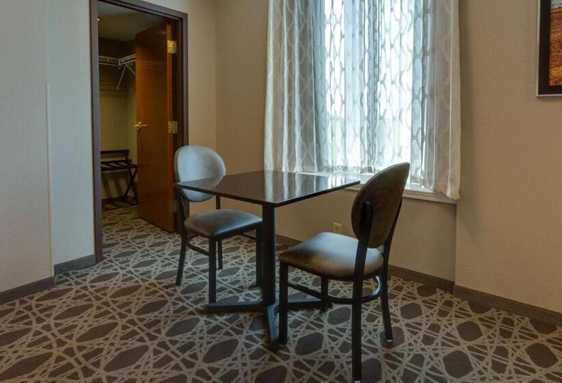 Номер Deluxe Кровать Кинг, Drury Inn & Suites Hayti Caruthersville