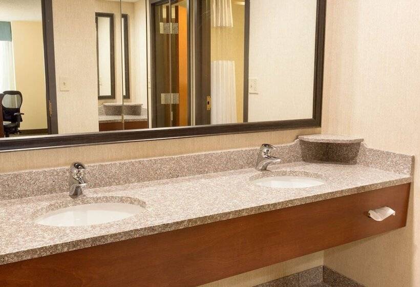 套房, Drury Inn & Suites St Louis Southwest
