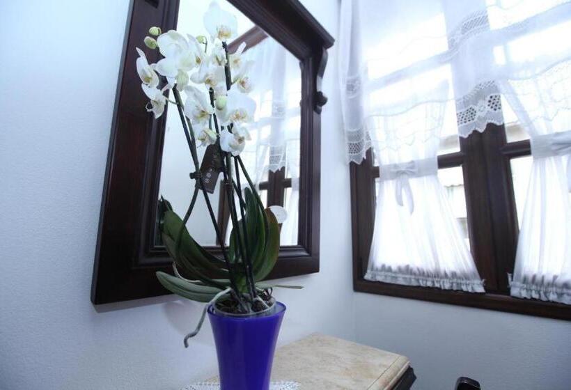 اتاق استاندارد یک نفره, Antipatrea