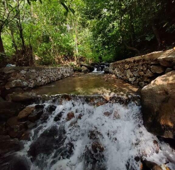 패밀리 룸 산 전망, Forest And River Edge Resort