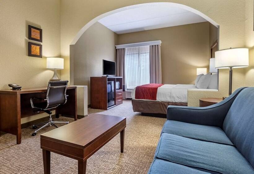 Люкс, Comfort Inn & Suites Mocksville I 40