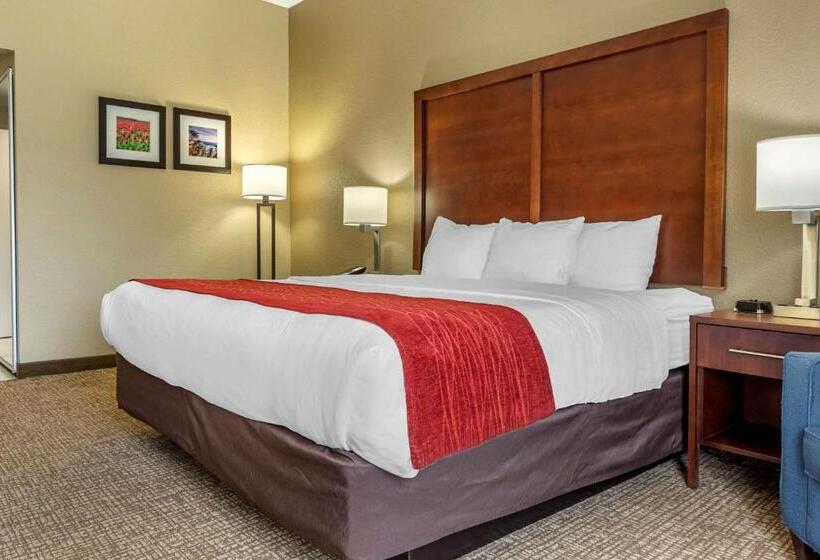 Стандартный Номер Кровать Кинг, Comfort Inn & Suites Mocksville I 40