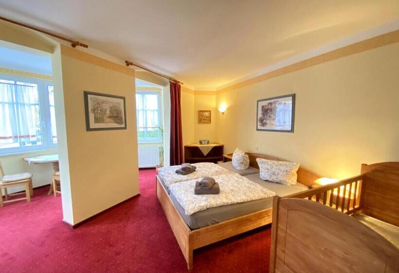 اتاق استاندارد, Haus Belger