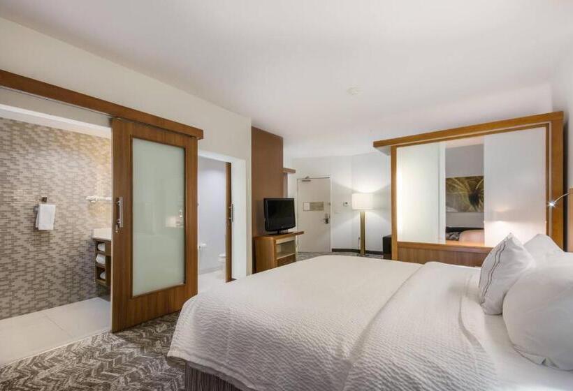 Люкс Кровать Кинг, Springhill Suites By Marriott Enid