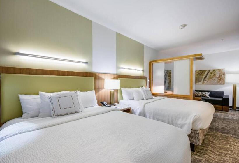 Люкс, Springhill Suites By Marriott Enid