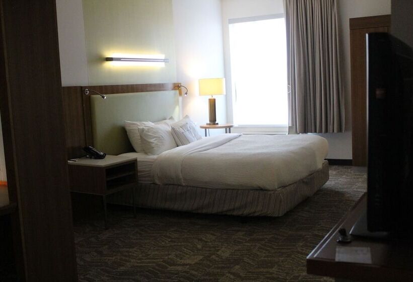 Люкс, Springhill Suites By Marriott Enid