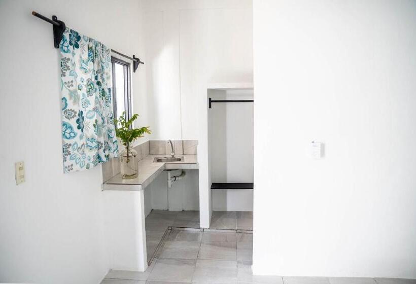 اتاق استاندارد, Hostel Oryx Valladolid