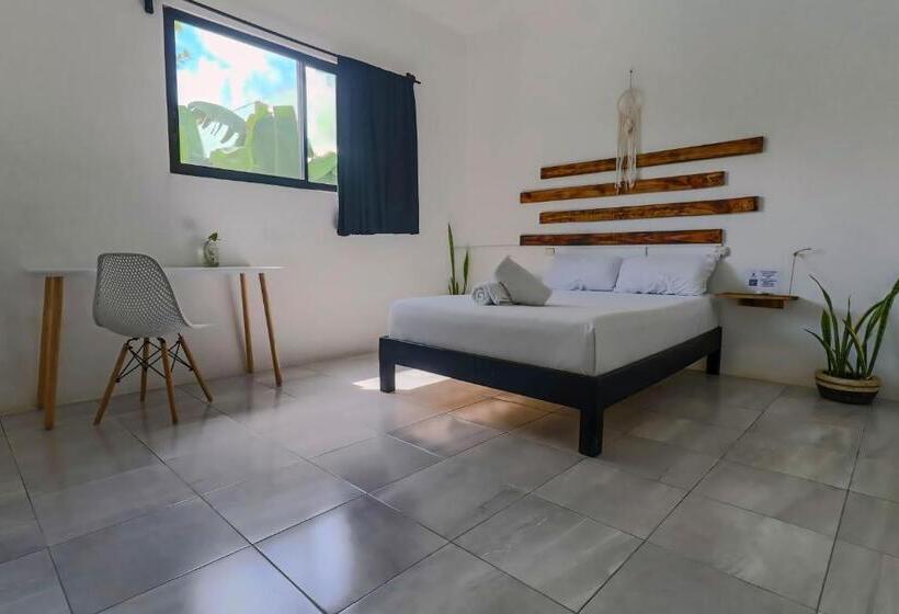 اتاق استاندارد, Hostel Oryx Valladolid