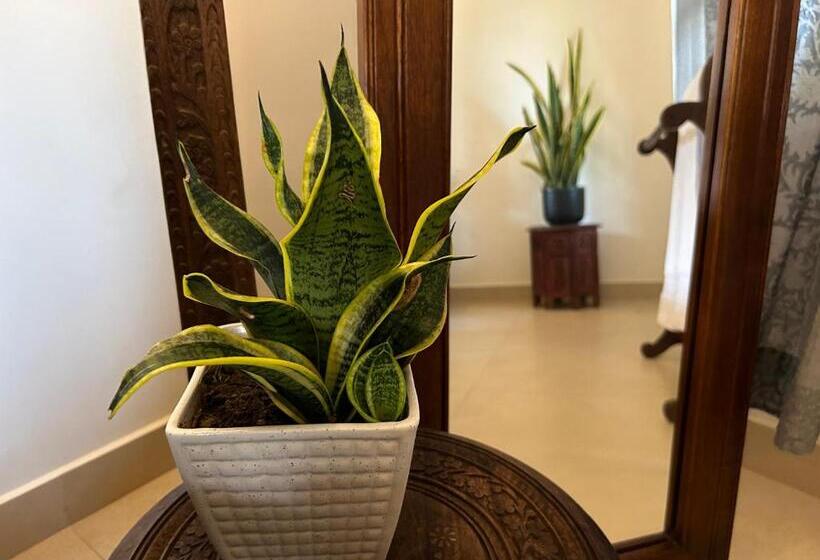 수피리어 룸, Santa Maria, Trivandrum   An Airport Boutique By The Sea