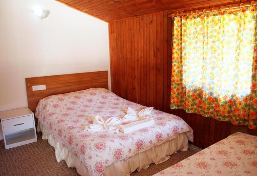Семейный Номер Deluxe, Alican Pension