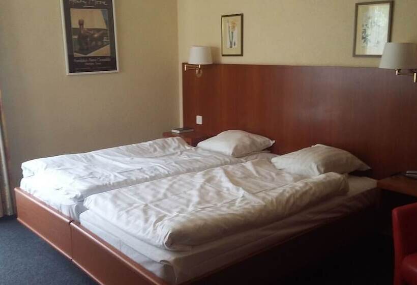 Номер Стандарт, Motel Des Sports Martigny