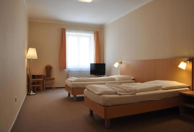 Quarto Estandar, V Centru