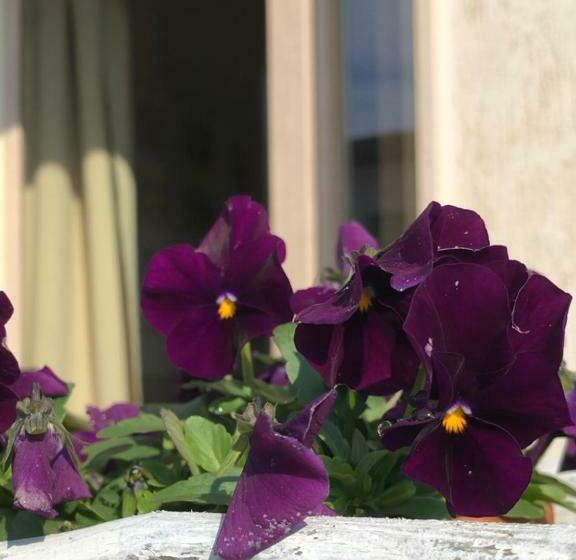 آپارتمان لوکس 1 خوابه, Zerostuni Suite Apartment