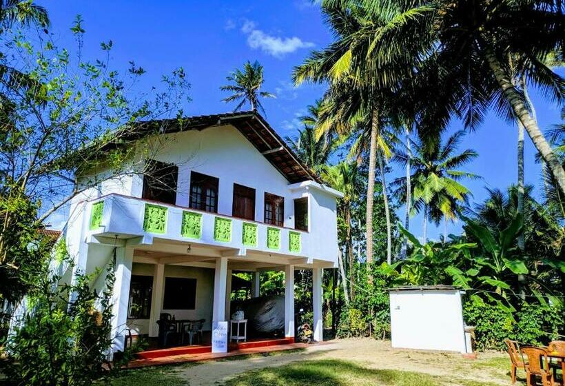 Номер Стандарт, Tropical Point Inn