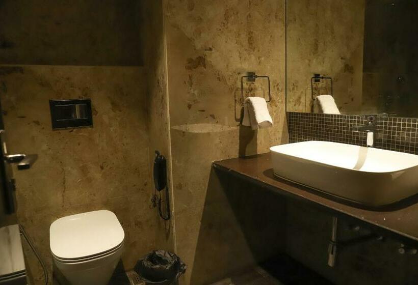 Номер Executive, Vits Bharat Nanded
