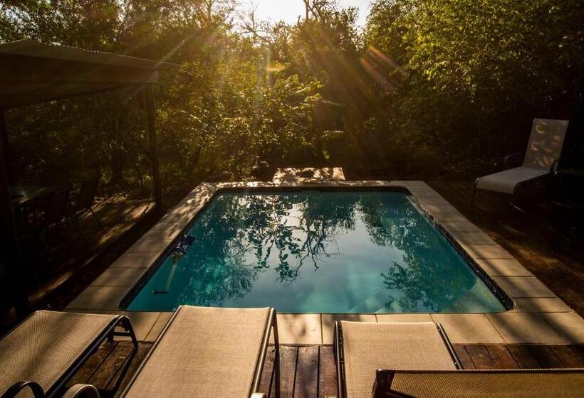 اتاق استاندارد با چشم‌انداز استخر, Thornforest Luxury Bush Lodge