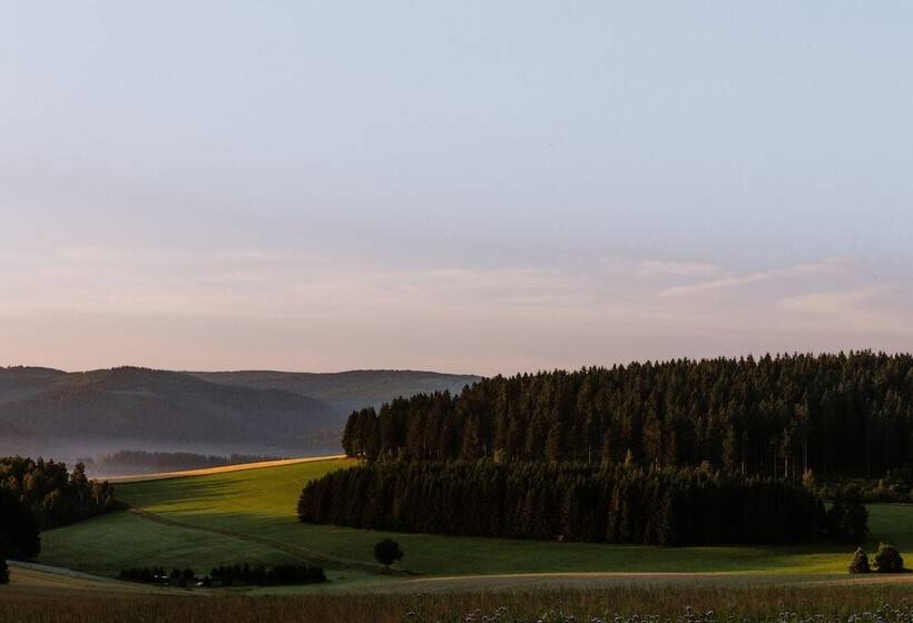 Номер Стандарт с Балконом, Waldhotel Kreuztanne