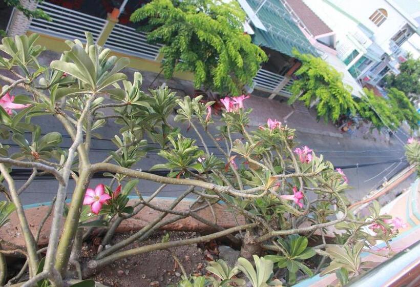 اتاق خانوادگی, Huỳnh Hương Guesthouse