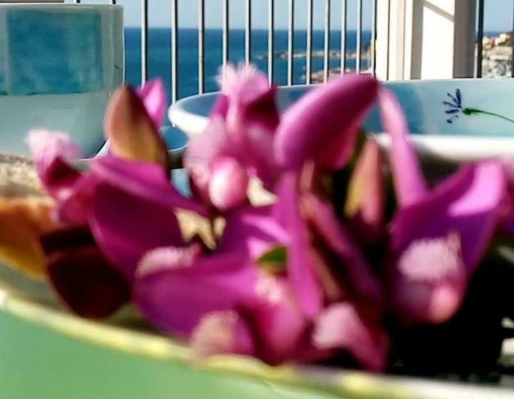 침실 1개 아파트, Agriturismo La Tuffatrice