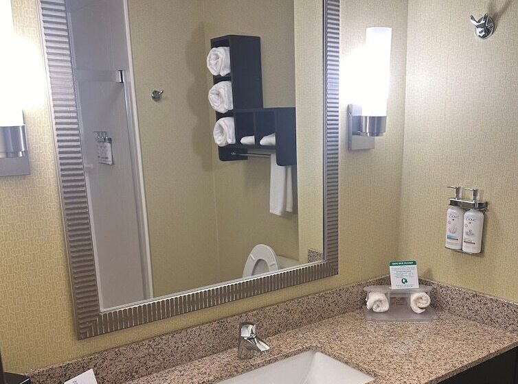 스위트, Holiday Inn Express & Suites Pittsburgh Sw/southpointe, An Ihg