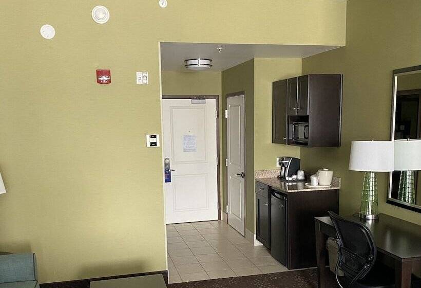 장애인을 위한 스위트, Holiday Inn Express & Suites Pittsburgh Sw/southpointe, An Ihg