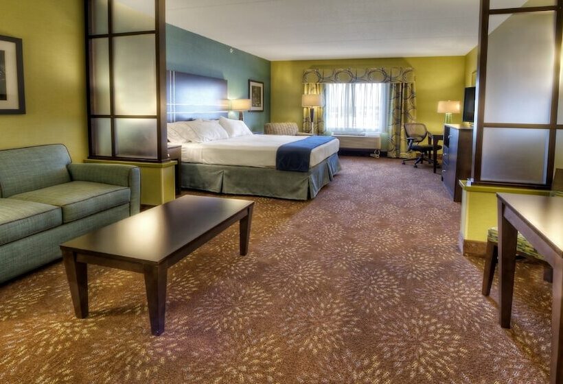 장애인을 위한 스위트, Holiday Inn Express & Suites Pittsburgh Sw/southpointe, An Ihg