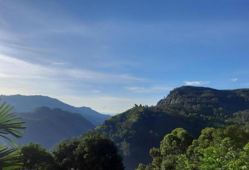Quarto Estandar Vista Montanha, Aloft View