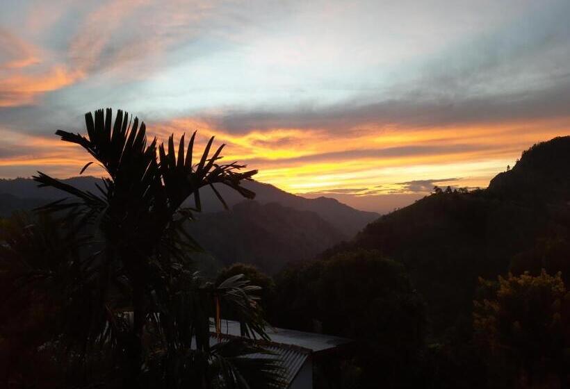 Quarto Estandar Vista Montanha, Aloft View