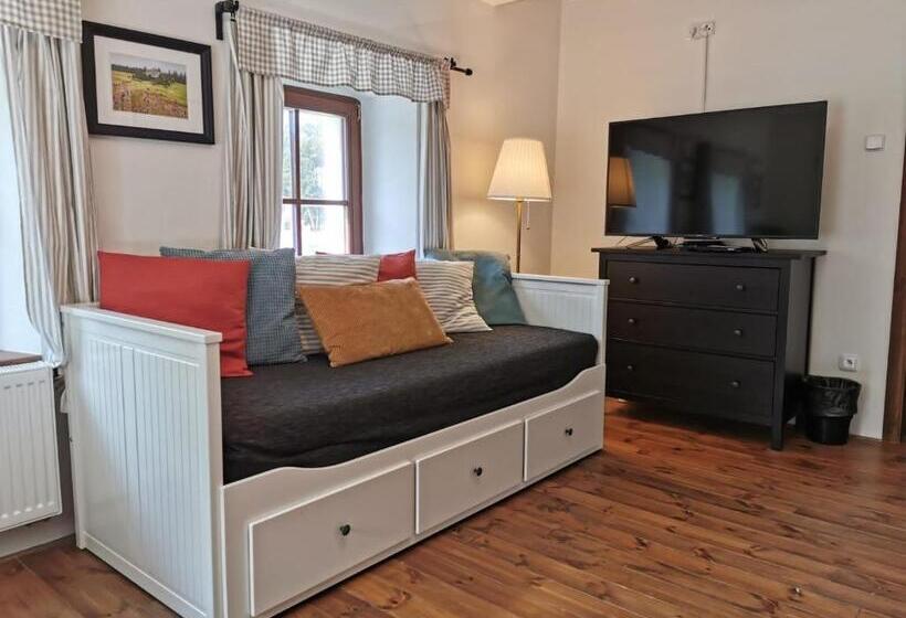 침실 1개 수피리어 아파트, Apartmány Rožmberk