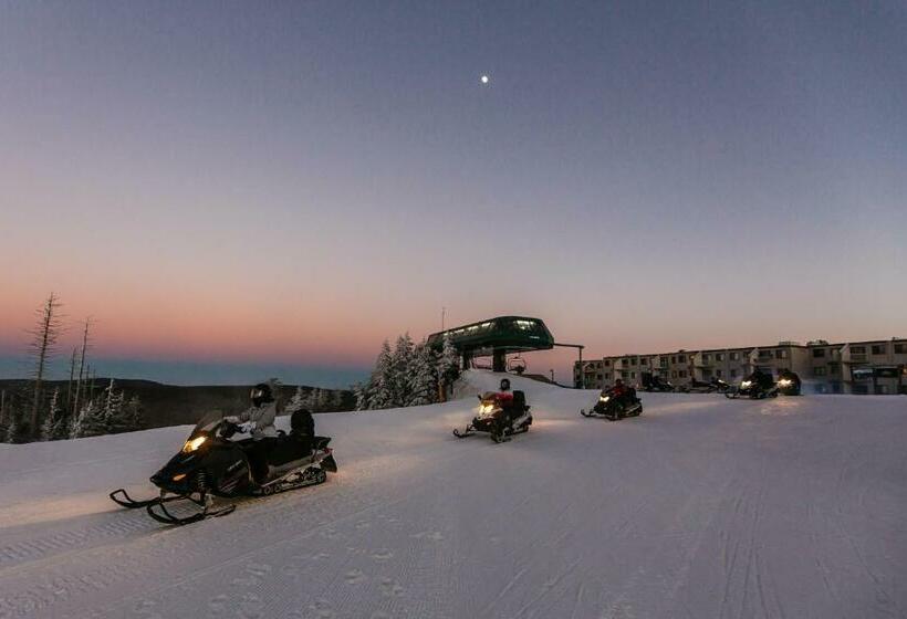 침실 1개 아파트, Stroll To Slopes, Village Area, Ski In Out Mtlodge 294