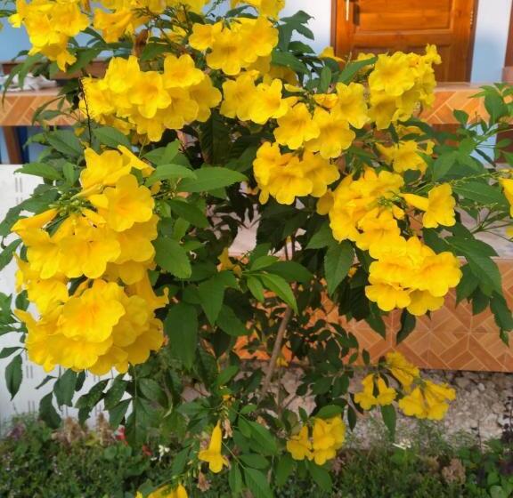 اتاق استاندارد چهار تخته, Yahle Villa เยห์เล่วิลล่า