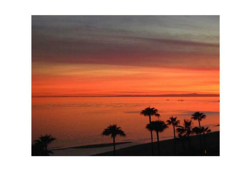 آپارتمان 1 خوابه با چشم‌انداز دریا, Bella Sirena Resort