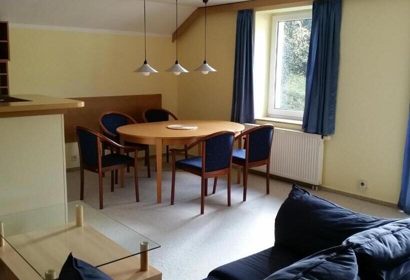 带1个卧室的公寓, Apartmány Gryf Harrachov