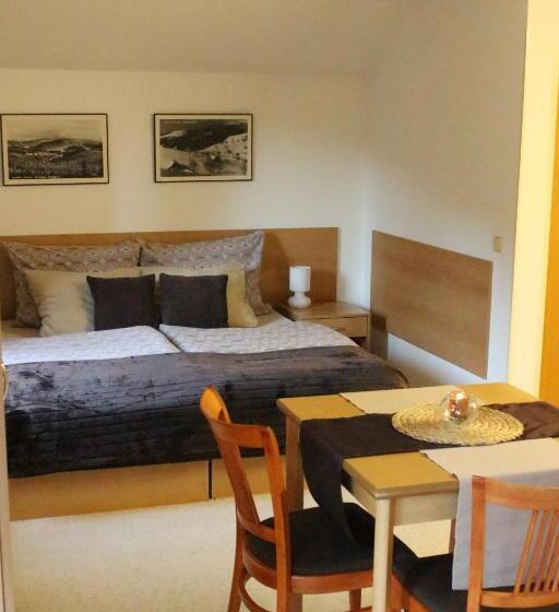 Апартаменты 1 Спальня с Видом, Apartmány Gryf Harrachov