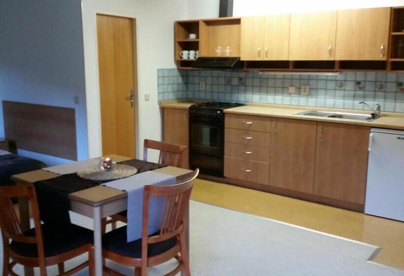带1个卧室带观景的公寓, Apartmány Gryf Harrachov