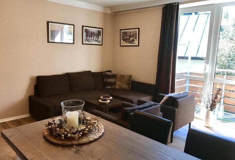 Апартаменты 1 Спальня с Балконом, Apartmány Gryf Harrachov