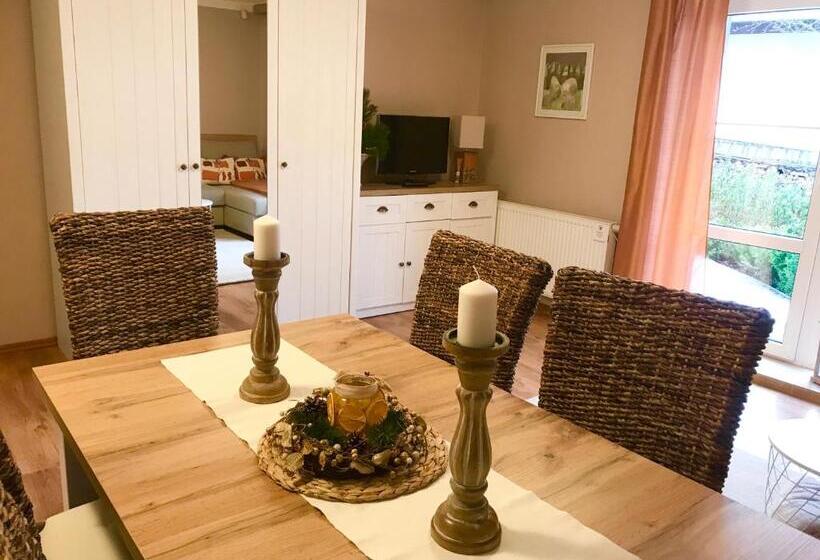 Апартаменты 1 Спальня с Террасой, Apartmány Gryf Harrachov