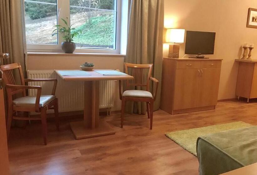 Апартаменты 1 Спальня, Apartmány Gryf Harrachov