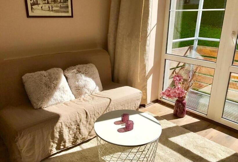 Апартаменты 1 Спальня с Видом, Apartmány Gryf Harrachov
