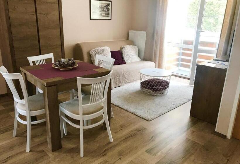 Апартаменты 1 Спальня с Видом, Apartmány Gryf Harrachov