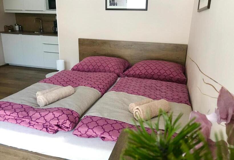 Апартаменты 1 Спальня с Видом, Apartmány Gryf Harrachov