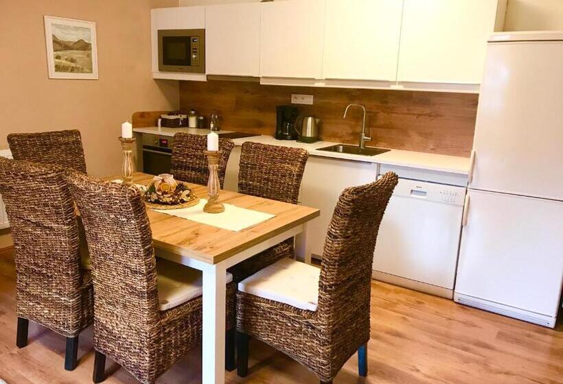 Апартаменты 1 Спальня с Террасой, Apartmány Gryf Harrachov
