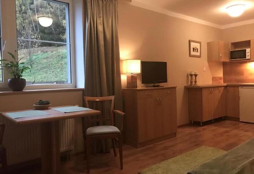 带1个卧室的公寓, Apartmány Gryf Harrachov