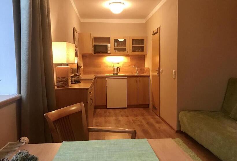 Апартаменты 1 Спальня, Apartmány Gryf Harrachov