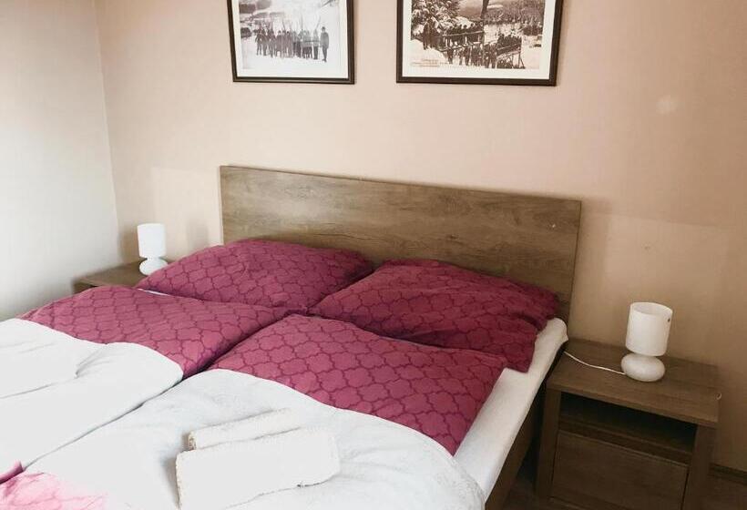 Апартаменты 1 Спальня с Видом, Apartmány Gryf Harrachov